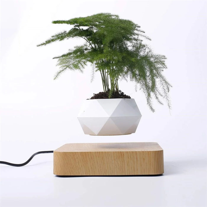 Magnetic Suspension Flower Pot Micro Landscape Gardening Levitating Air Bonsai Pot - Light Brown/EU Plug - 4