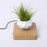 Magnetic Suspension Flower Pot Micro Landscape Gardening Levitating Air Bonsai Pot - Light Brown/EU Plug - 5