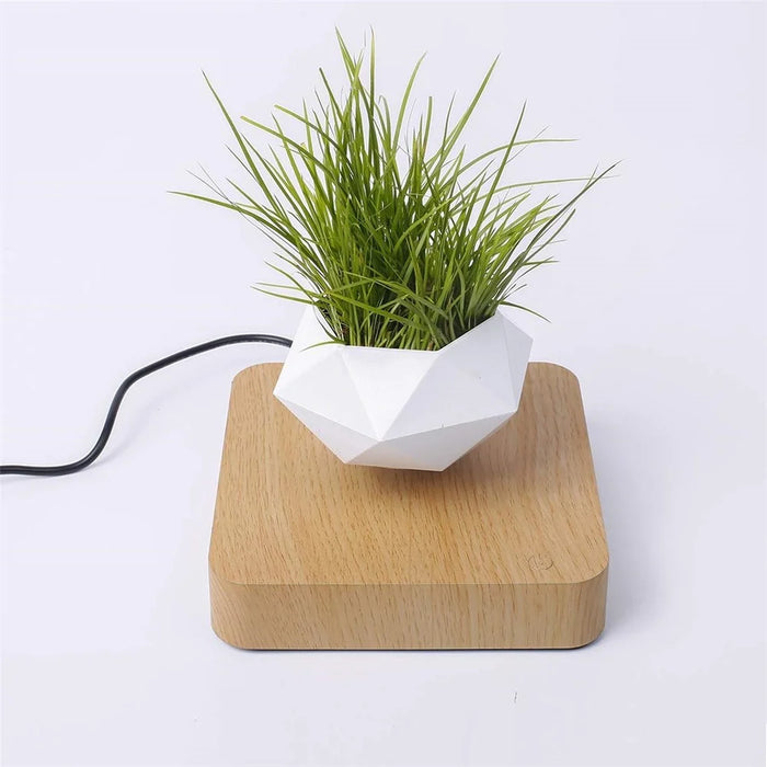 Magnetic Suspension Flower Pot Micro Landscape Gardening Levitating Air Bonsai Pot - Light Brown/EU Plug - 5
