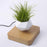 Magnetic Suspension Flower Pot Micro Landscape Gardening Levitating Air Bonsai Pot - Light Brown/EU Plug - 6