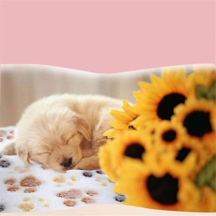 Puppy Blanket Pet Cushion Small Dog Cat Bed Soft Warm Sleep Mat S Size - Coffee - 6