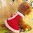 Clothes Christmas Dress for Small Dog for Winter Spring - M - 1