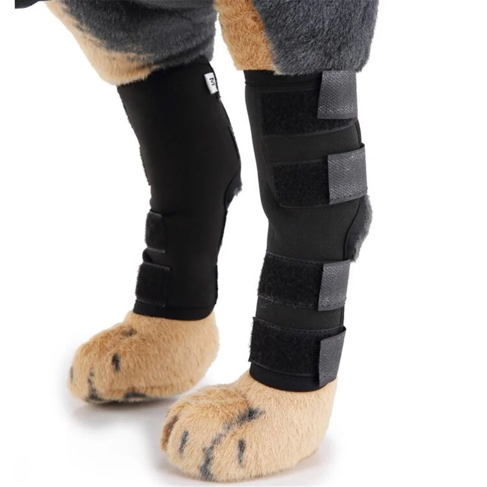 Pet Knee Wrap Dog Hind Leg Hock Joint Support for Injury Recover Dog Gift - Size: M - 6