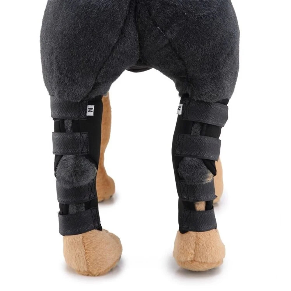 Pet Knee Wrap Dog Hind Leg Hock Joint Support for Injury Recover Dog Gift - Size: M - 7