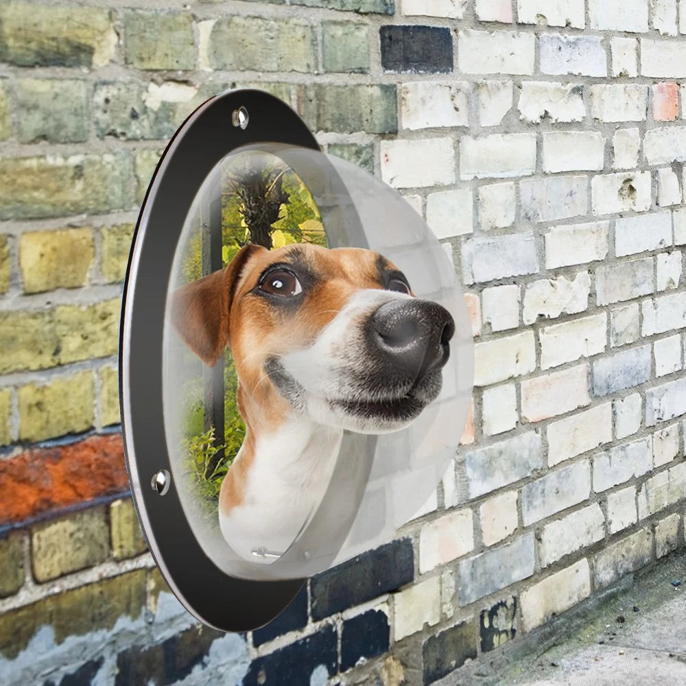2PCS / Pack Pet Dog Fence Gift Peek Window Acrylic Dome Window - 3