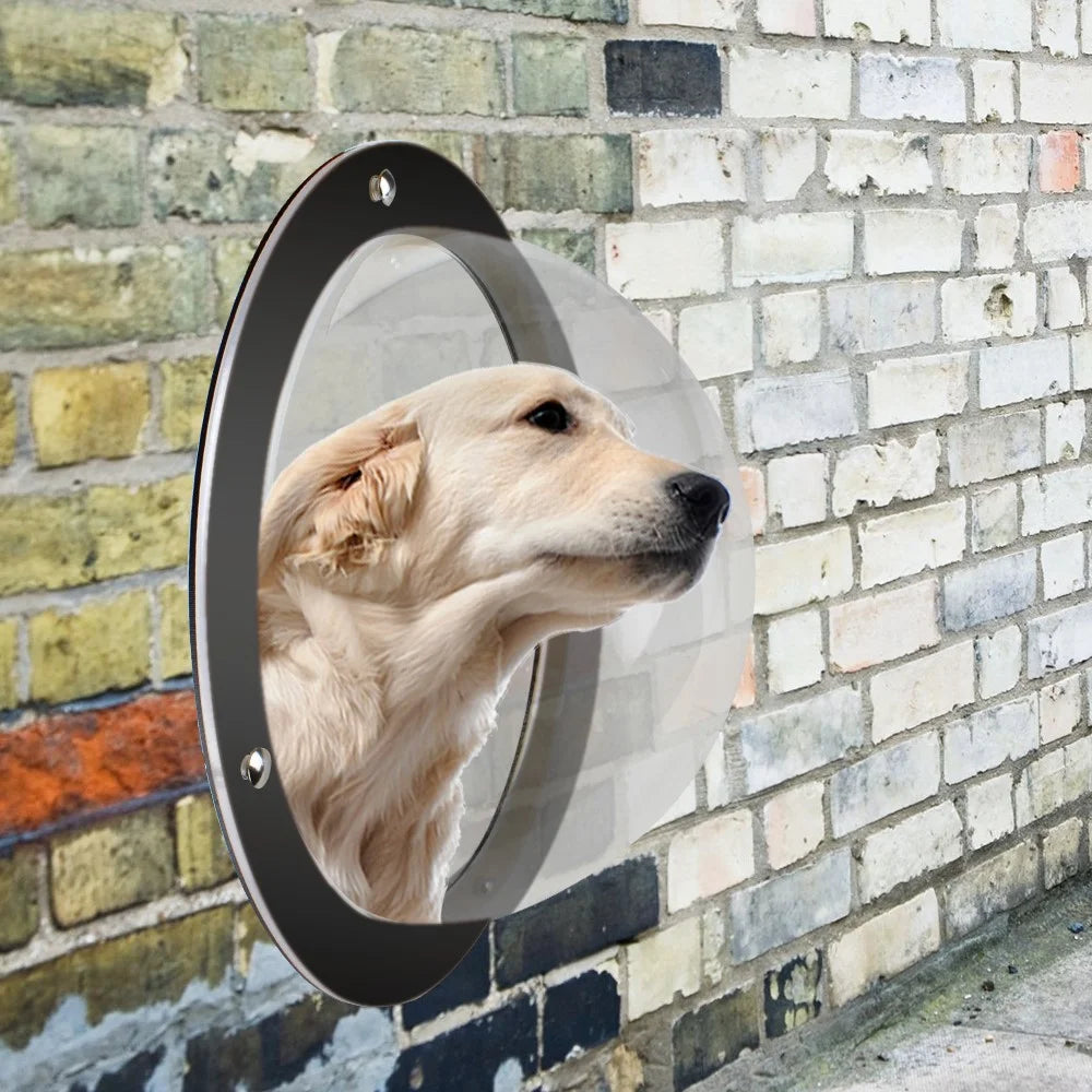 2PCS / Pack Pet Dog Fence Gift Peek Window Acrylic Dome Window - 4