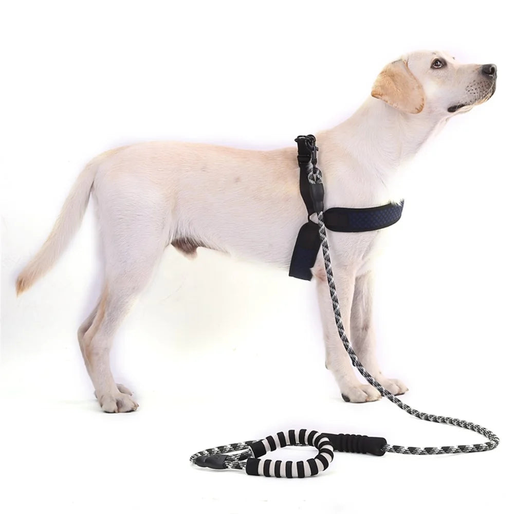 Reflective Nylon Dog Pet Leash Round Traction Rope Gift with Dual Padded Handle - Black - 1