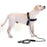 Reflective Nylon Dog Pet Leash Round Traction Rope Gift with Dual Padded Handle - Black - 1