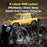 Q215 Single Control Cartoon Monster RC Car 4WD Off Road Amphibious Crawler Vehicle Remote Control Toy - Black - 6