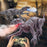 SM190 2.4G 8 Channel RC Walking Dinosaur Toy for Kids Simulation Tyrannosaurus Electric Robot Dinosaur with LED Lights, Sounds, Spray, Dinosaur Toys for Boys and Girls - Grey / Red - 2