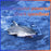 RH705 2 in 1 Stunt RC Boat Toy 2.4GHz Remote Control Water Shark Speed Boat Double Motor Powered - 5