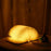 USB Rechargeable LED Foldable Wood Grain Book Shape Desk Table Lamp Night Light - White - 3