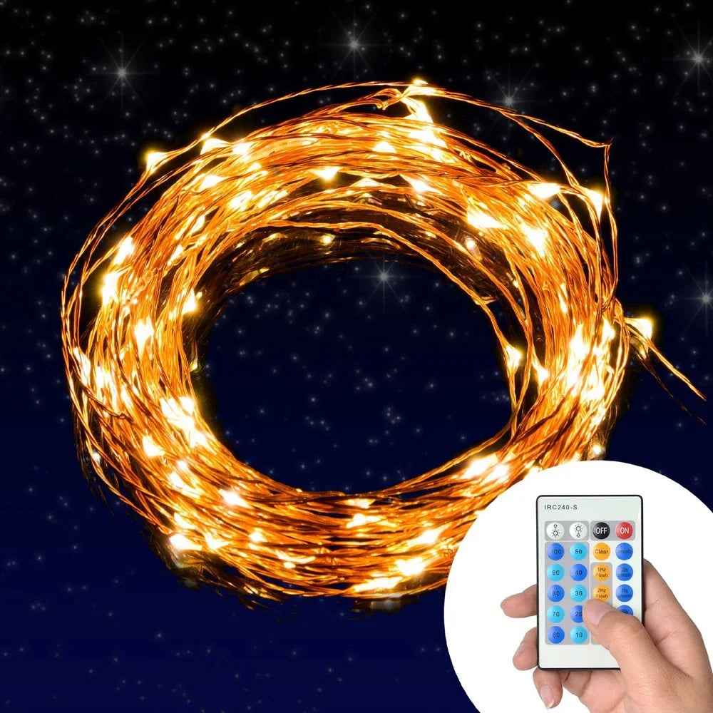 20M 200-LED Warm White Dimmable Copper Wire LED Starry Light with Remote Controller - EU Plug - 1