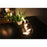 5 Meters 40 LED Photo Clip String Lights with Remote Control 8 Modes Choice Battery Operated Photo Clips - Warm White - 6
