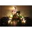 5 Meters 40 LED Photo Clip String Lights with Remote Control 8 Modes Choice Battery Operated Photo Clips - Warm White - 7