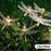 Dragonfly Solar String Lights Waterproof Fairy Lights Gift for Patio Homes Gardens - White / 3.8m 10 Lights / 2 Modes - 1