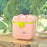 Baby Formula Dispenser Container Portable Candy Fruit Storage Box for Travel Milk Powder Container (BPA-Free, NO FDA Certificate) - Pink - 1