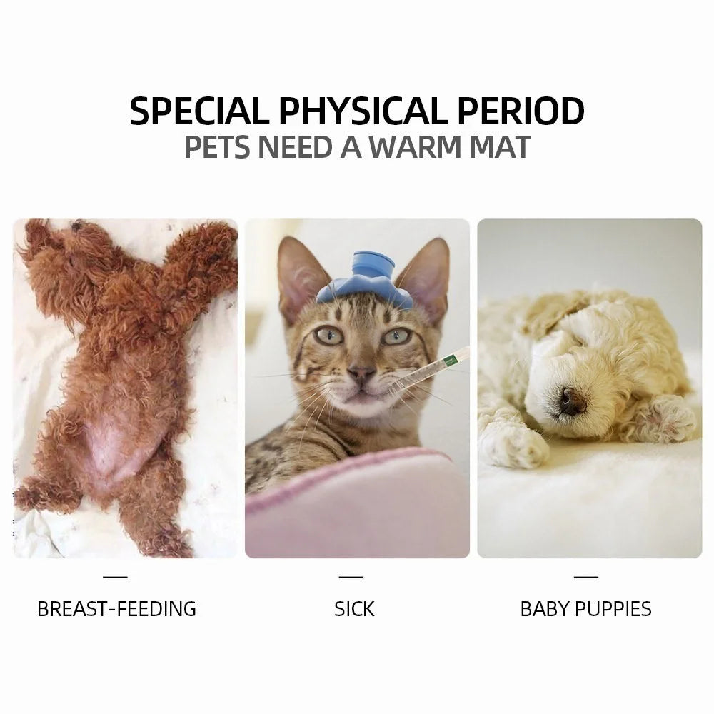 Pet Heating Pad Pet Winter Warmer Anti-Bite Tube Anti-Dirty Mat Bed Blanket Waterproof Electric Bed Mat for Dogs Cats - EU Plug - 7