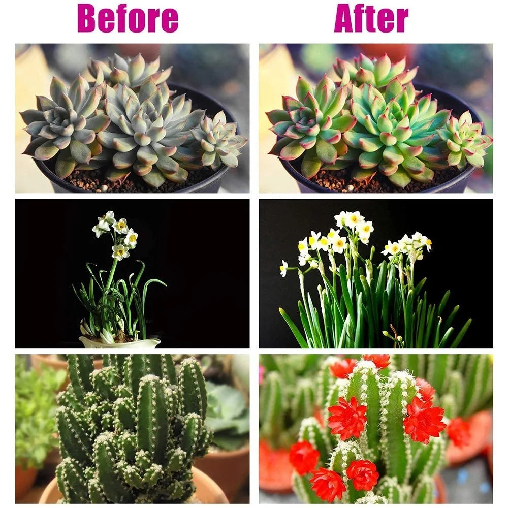 3-Head Grow Light 60 LED Light Bulb Plant Growing Lamps with Adjustable Arm Auto ON/Off Intelligent Timing 10 Levels Brightness for Indoor Plants - 5