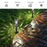 For Outdoor Decorative Waterproof Anti-Deform Stainless Steel Brightest Solar Lights - 10 PCS - 2