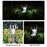 For Outdoor Decorative Waterproof Anti-Deform Stainless Steel Brightest Solar Lights - 10 PCS - 3