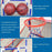 Indoor/Outdoor Basketball Arcade Game Sport Basketball Hoop Single Shot with 2 Basketballs Inflator - 4