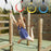 4Pcs Gymnastic Rings Exercise Hoops Obstacle Courses Gym Rings Swing Bar Athletic Dip Rings Strength Workout Training Pull Ups - 7