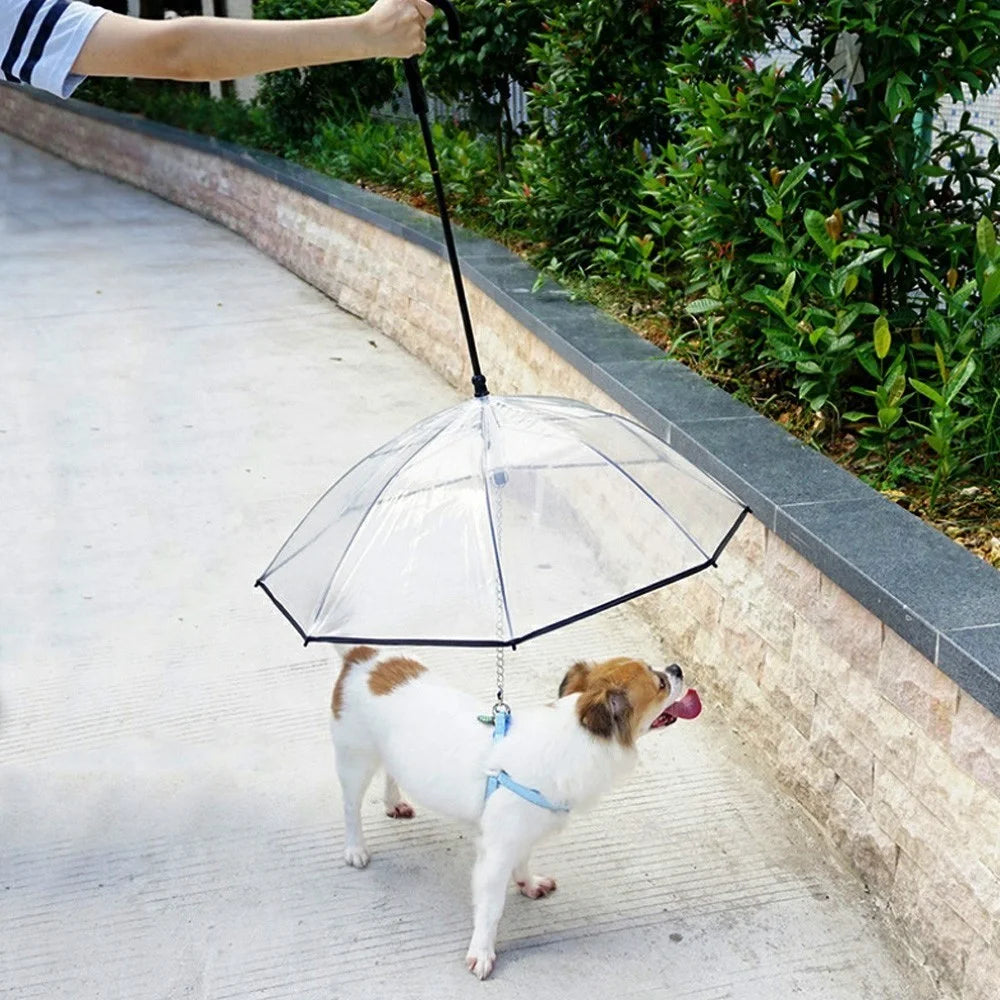 Pet Umbrella Transparent Folding Dog Umbrella with Leash Rainproof Snowproof Pet Dog Supply - 2