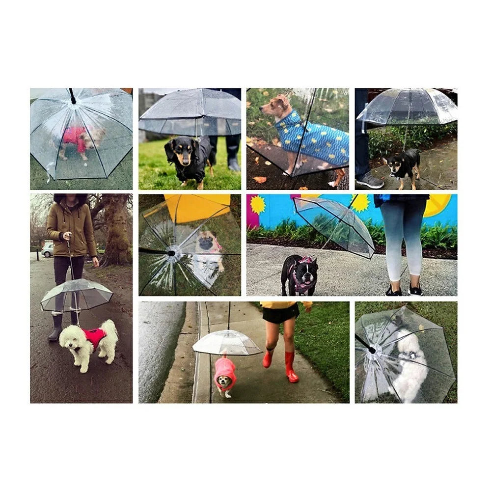 Pet Umbrella Transparent Folding Dog Umbrella with Leash Rainproof Snowproof Pet Dog Supply - 4
