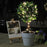 DC6V 10m / 33ft 100LED Copper Wire String Fairy Light Xmas Wedding Party Garden Indoor Outdoor Decor - Warm White Light - 6