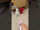 Pet Projection Toy USB Rechargeable LED Pattern Projector Cat Teaser Interactive Toys