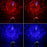 LED1175_6.jpg@07d5faa15716df3cfdfe281dfc309f67