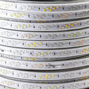 TBD06041370_B2.jpg@9e147915b852e0c7ba8e5972ca151348